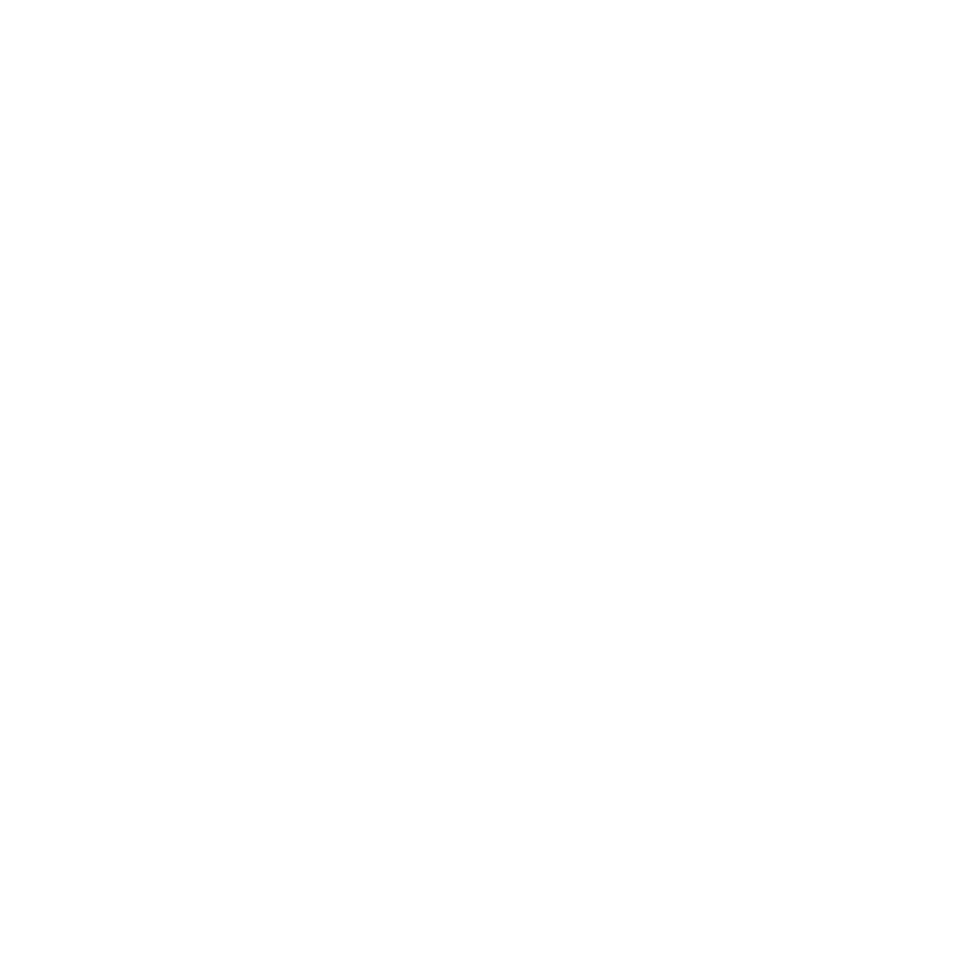 6 (6)